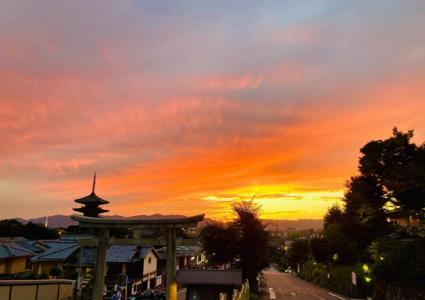 京都四百年歷史古寺慘被遊客破壞！拆欄杆/掉煙頭/擅自拍攝！曝光古寺慘況 