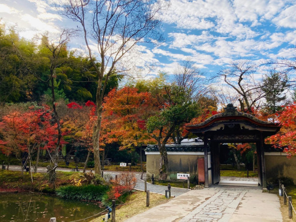 京都四百年歷史古寺慘被遊客破壞！拆欄杆/掉煙頭/擅自拍攝！曝光古寺慘況 