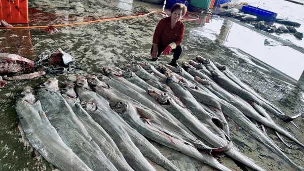 布吉島驚現無頭「美人魚」浮屍 疑因牙齒可「避邪」遭到獵殺斬首 