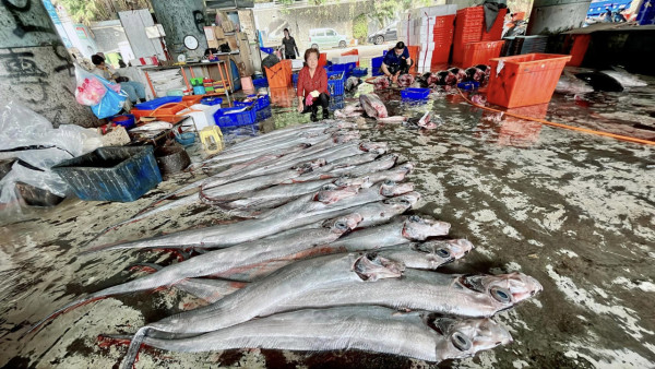 布吉島驚現無頭「美人魚」浮屍 疑因牙齒可「避邪」遭到獵殺斬首 