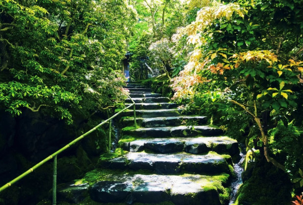 京都賞楓夢幻琉璃光院│2024預約/交通攻略+7大打卡位 