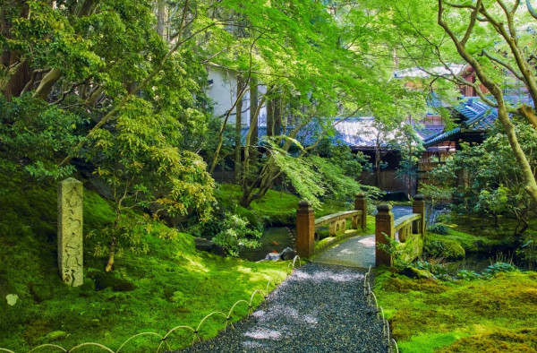 京都賞楓夢幻琉璃光院│2024預約/交通攻略+7大打卡位 