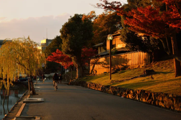 奈良一日遊｜奈良一日遊行程路線攻略！必去景點/美食推薦/大阪京都出發交通方法 