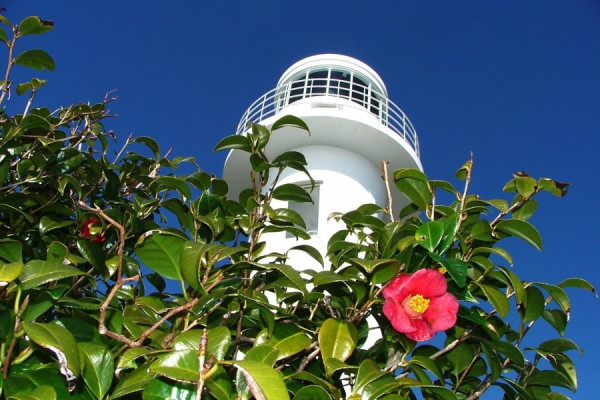 四國自駕遊｜高知3日2夜自駕遊行程攻略！必去景點路線推薦 保險/注意事項/酒店 