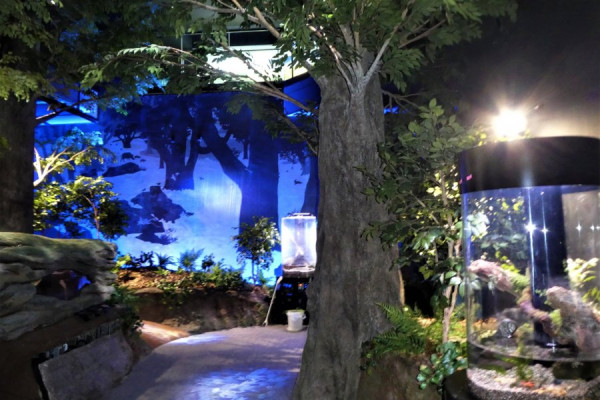 四國自駕遊｜高知3日2夜自駕遊行程攻略！必去景點路線推薦 保險/注意事項/酒店 