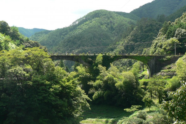 四國自駕遊｜高知3日2夜自駕遊行程攻略！必去景點路線推薦 保險/注意事項/酒店 