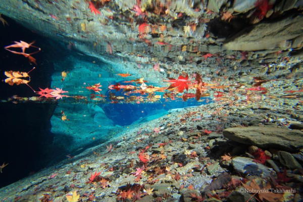 四國自駕遊｜高知3日2夜自駕遊行程攻略！必去景點路線推薦 保險/注意事項/酒店 