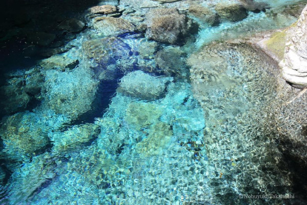 四國自駕遊｜高知3日2夜自駕遊行程攻略！必去景點路線推薦 保險/注意事項/酒店 