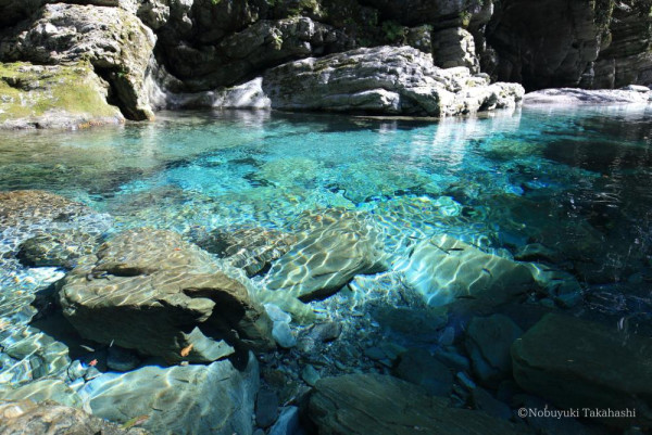 四國自駕遊｜高知3日2夜自駕遊行程攻略！必去景點路線推薦 保險/注意事項/酒店 