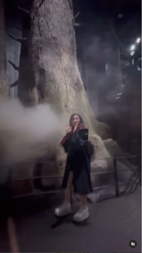 TVB小花遊東京哈利波特影城 巫師長袍擋不住白滑美腿 獲網友封「美魔女」 