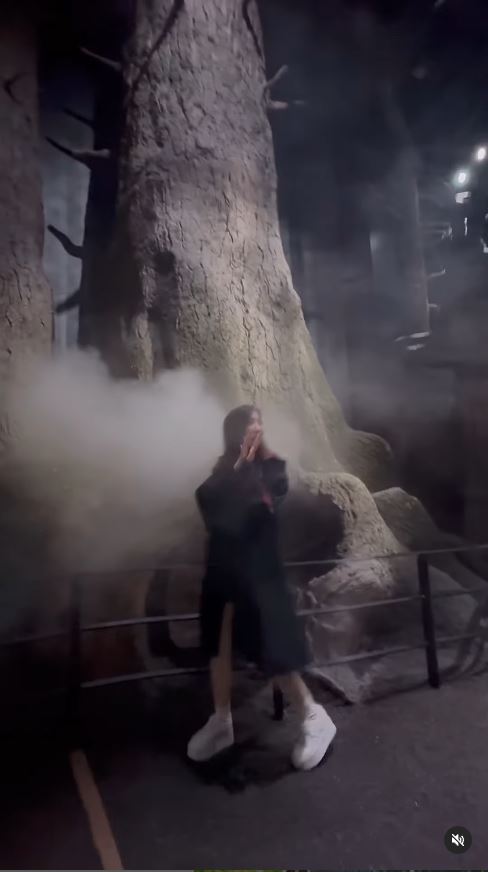 TVB小花遊東京哈利波特影城 巫師長袍擋不住白滑美腿 獲網友封「美魔女」 