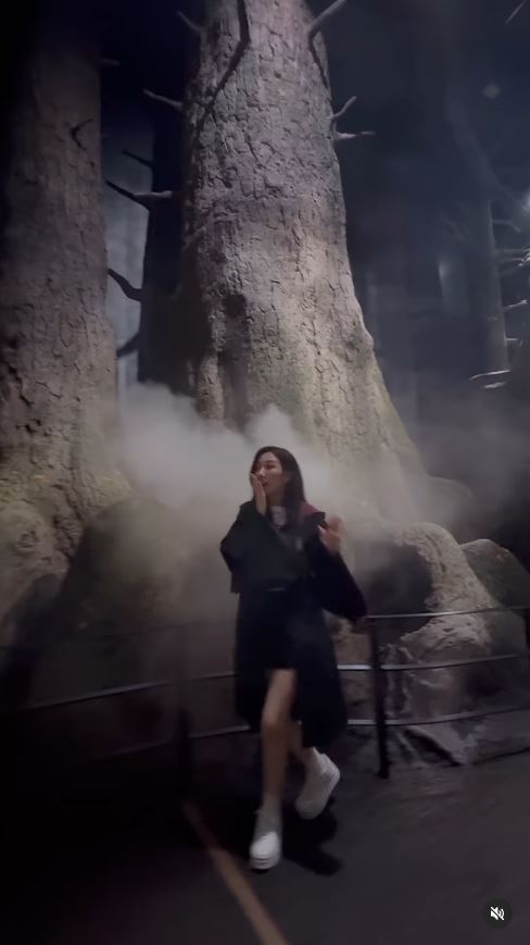 TVB小花遊東京哈利波特影城 巫師長袍擋不住白滑美腿 獲網友封「美魔女」 