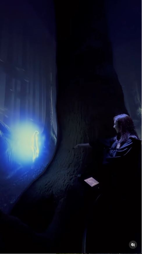 TVB小花遊東京哈利波特影城 巫師長袍擋不住白滑美腿 獲網友封「美魔女」 