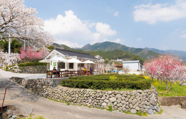 四國自駕遊｜高知3日2夜自駕遊行程攻略！必去景點路線推薦 保險/注意事項/酒店 