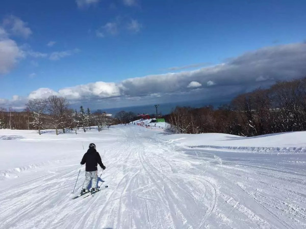 北海道滑雪場推薦|圖片來源:各大滑雪場官方網站 北海道滑雪場推薦|圖片來源:各大滑雪場官方網站