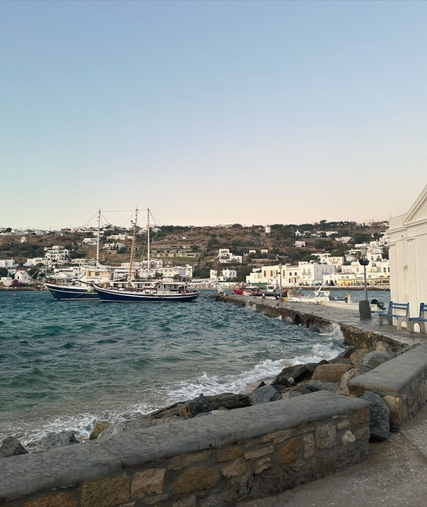 陳煒與老公結婚兩周年蜜遊日本 被熱情奈良鹿仔「攻擊」敏感部位 