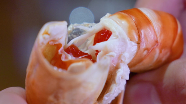 TVB「最強Body」郭珮文比堅尼浸溫泉大開中門極誘人！陳懿德連換泳衣派粉絲福利 