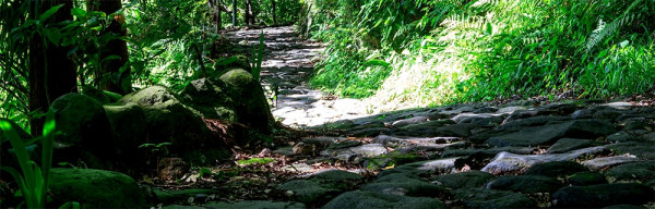 箱根湯本酒店（圖片來源︰箱根湯本酒店官網）