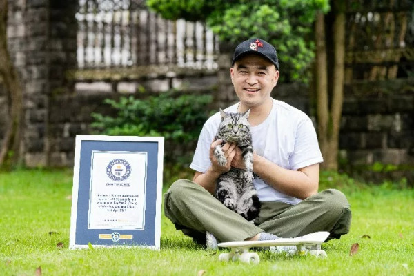 有片｜貓咪踩滑板破世界紀錄 網民感嘆：貓都滑得比我好！ 