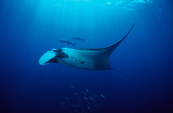 【飛女】2025年上半年 請假攻略遊泰國