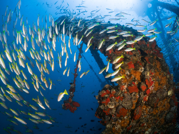 【飛女】2025年上半年 請假攻略遊泰國