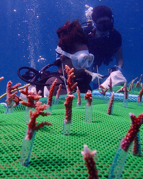 【飛女】2025年上半年 請假攻略遊泰國 