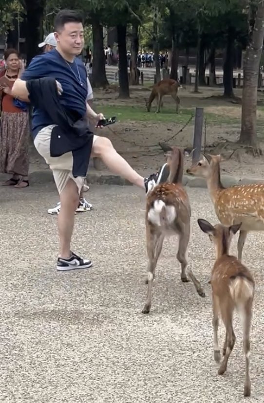 日本「正義KOL」專捕捉缺德中國遊客！原來靠抹黑賺流量？曾為直播偷食超市魚生被捕 