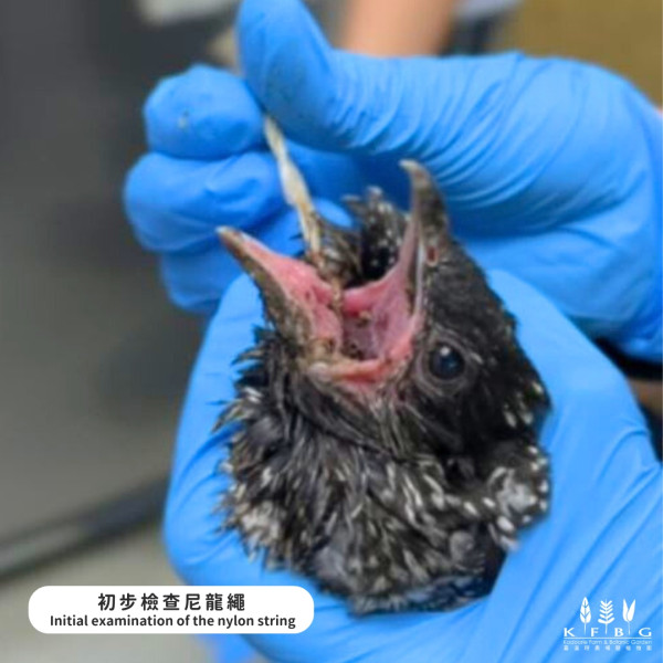 香港動植物公園8隻猴子離奇死亡待查 哺乳類動物區今起關閉消毒