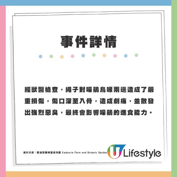 噪鵑寶寶誤吞尼龍繩及BB彈 造成嚴重損傷最終進行安樂死