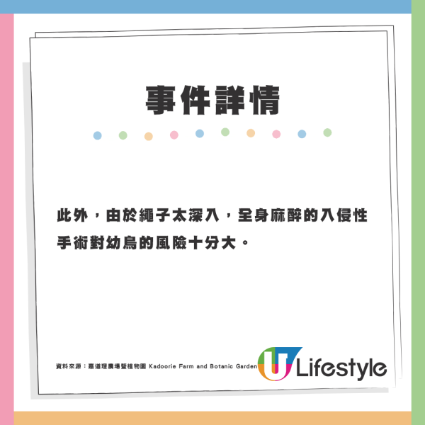 噪鵑寶寶誤吞尼龍繩及BB彈 造成嚴重損傷最終進行安樂死