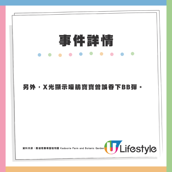 噪鵑寶寶誤吞尼龍繩及BB彈 造成嚴重損傷最終進行安樂死