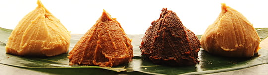 淺草美食︰多花款味噌湯 MISOJYU(圖片來源︰MISOJYU官網) 淺草美食︰多花款味噌湯 MISOJYU(圖片來源︰MISOJYU官網)