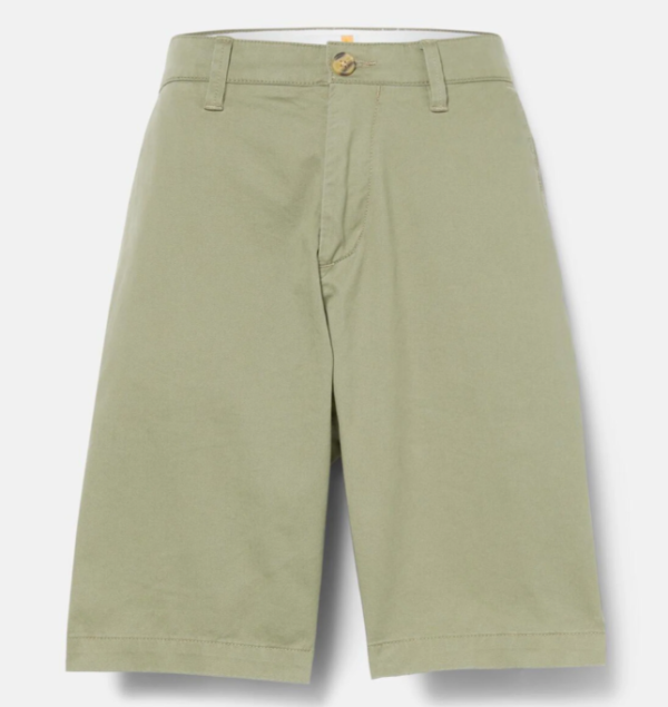 Men Squam Lake Stretch Chino Short - Cassel Earth, HK$209 (65% off)