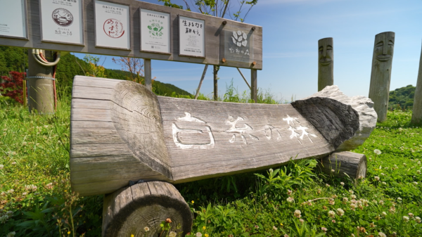 《解風福岡》行程懶人包｜杜如風帶隊遊福岡 必食餐廳/打卡景點/酒店推介 