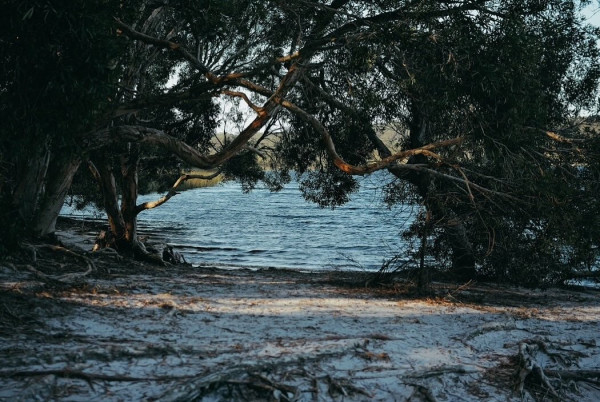 千禧男神復出頭炮為TVB拍旅遊節目 曾因恐慌症一度淡出幕前6年
