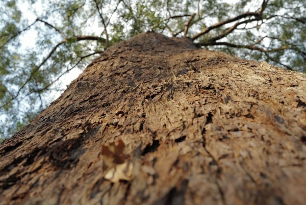 千禧男神復出頭炮為TVB拍旅遊節目 曾因恐慌症一度淡出幕前6年