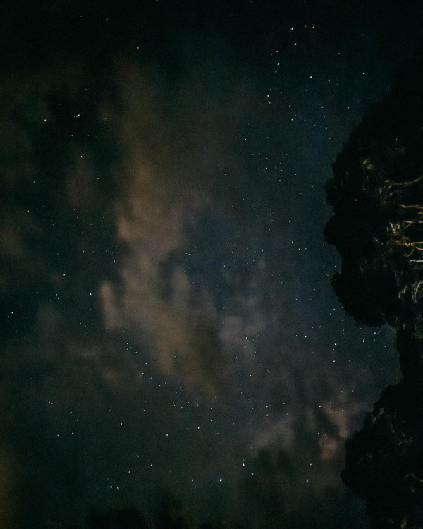 千禧男神復出頭炮為TVB拍旅遊節目 曾因恐慌症一度淡出幕前6年