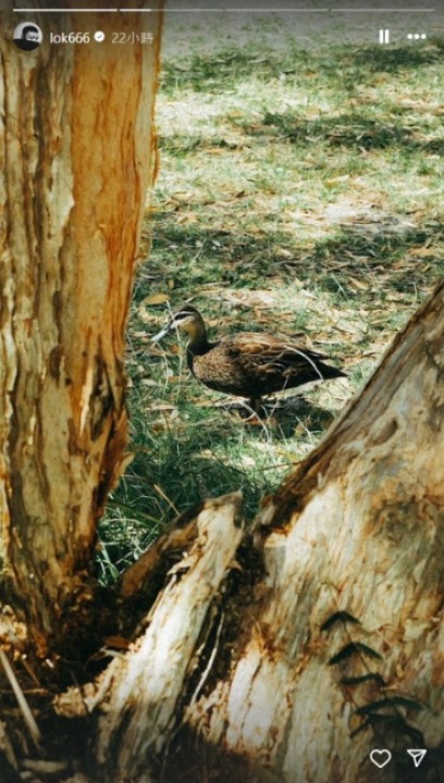 千禧男神復出頭炮為TVB拍旅遊節目 曾因恐慌症一度淡出幕前6年