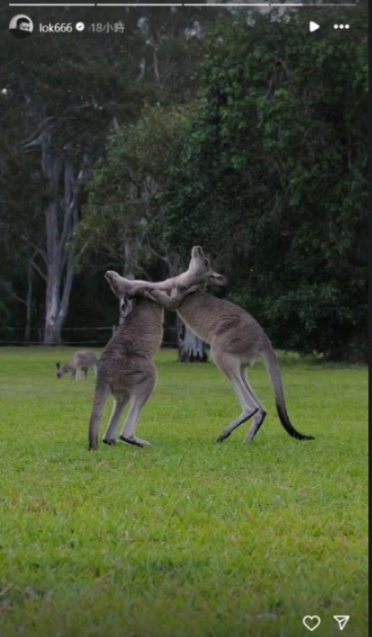 千禧男神復出頭炮為TVB拍旅遊節目 曾因恐慌症一度淡出幕前6年