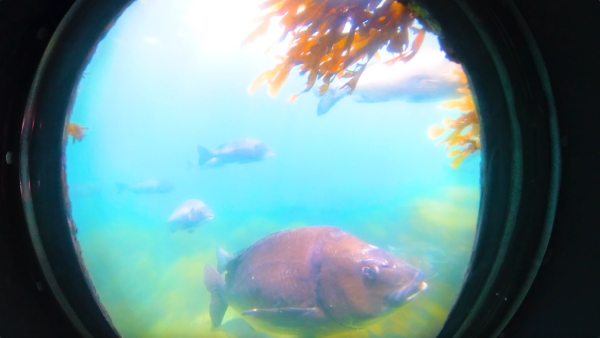 《解風福岡》行程懶人包｜杜如風帶隊遊福岡 必食餐廳/打卡景點/酒店推介 
