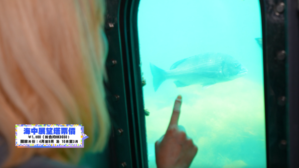 《解風福岡》行程懶人包｜杜如風帶隊遊福岡 必食餐廳/打卡景點/酒店推介 