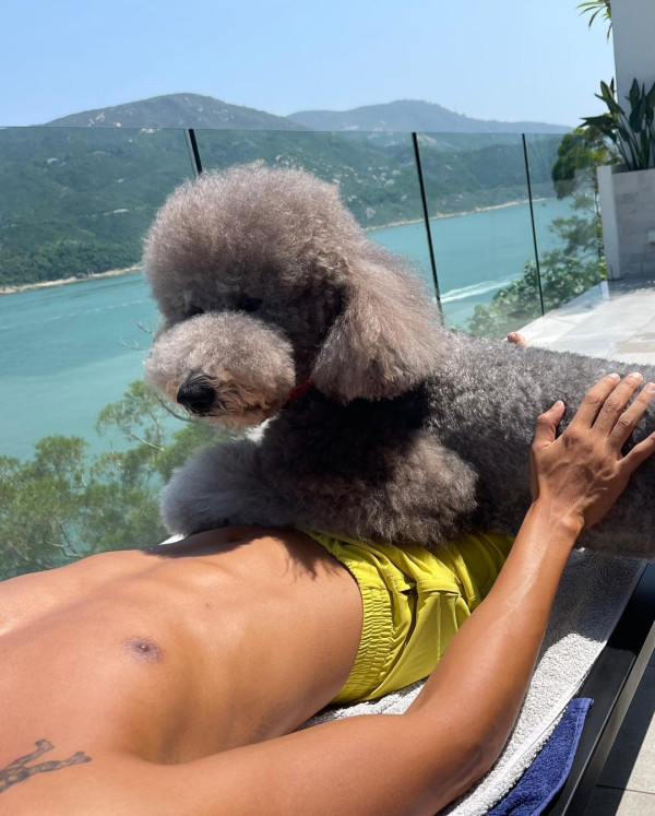 陳偉霆被爆與內地超模蜜遊日本？ 當街做一親暱行為高調放閃 