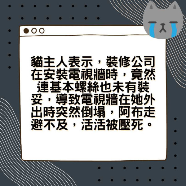 新裝修奪命陷阱｜8歲貓咪慘遭壓死 貓主人怒斥：裝修公司冷血卸責