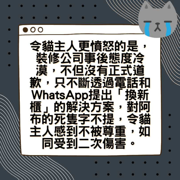 新裝修奪命陷阱｜8歲貓咪慘遭壓死 貓主人怒斥：裝修公司冷血卸責