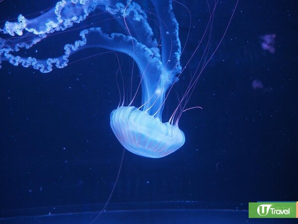 浩海立方•探游館(圖片來源:編輯部) 浩海立方•探游館(圖片來源:編輯部)