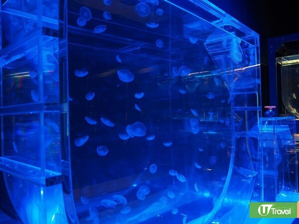浩海立方•探游館(圖片來源:編輯部) 浩海立方•探游館(圖片來源:編輯部)