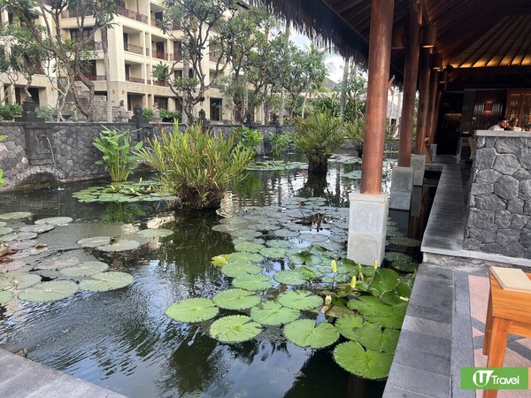 峇里島酒店推介The Legian Seminyak海景酒店  直達沙灘/打卡無邊際泳池/夢幻日落靚景 