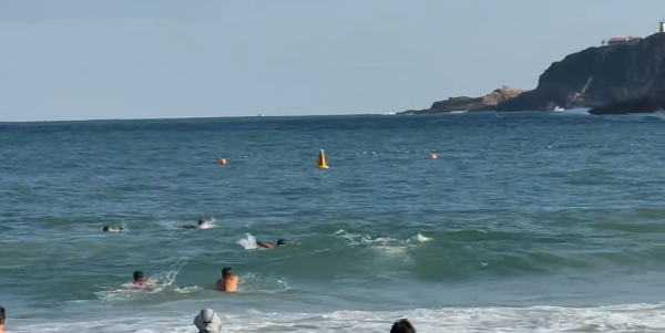 內地女用長者八達通搭港鐵斷正！遭罰千元以7字解釋 網民：錯就是錯了 