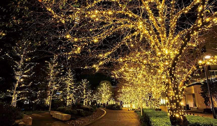 六本木「MIDTOWN CHRISTMAS 2024」（圖片來源︰東京ミッドタウンマネジメント株式会社）