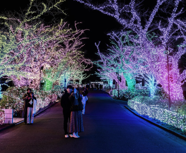 日本聖誕節活動2024︱東京大阪橫濱逾24聖誕活動 浪漫燈飾燈光Show市集附時間地點交通 